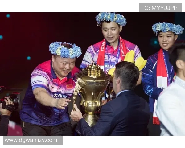 南京羽毛球队的深度解析与控制策略探秘