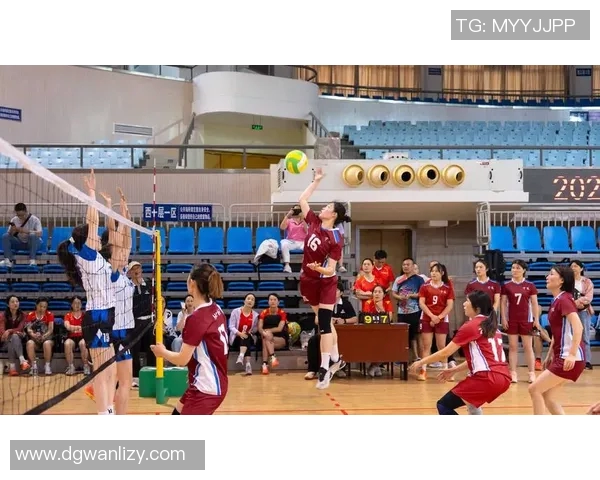 排球心理素质评比揭晓上海排球队荣获第三名引发热议