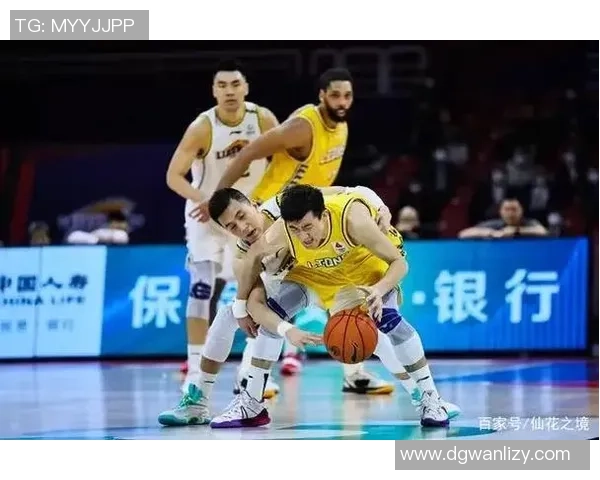 杭州羽毛球队逆袭之路揭秘精英赛背后的奋斗与荣耀