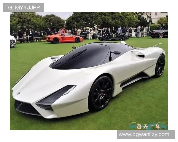 足球明星们的跑车梦幻之旅揭示豪华与速度的完美结合